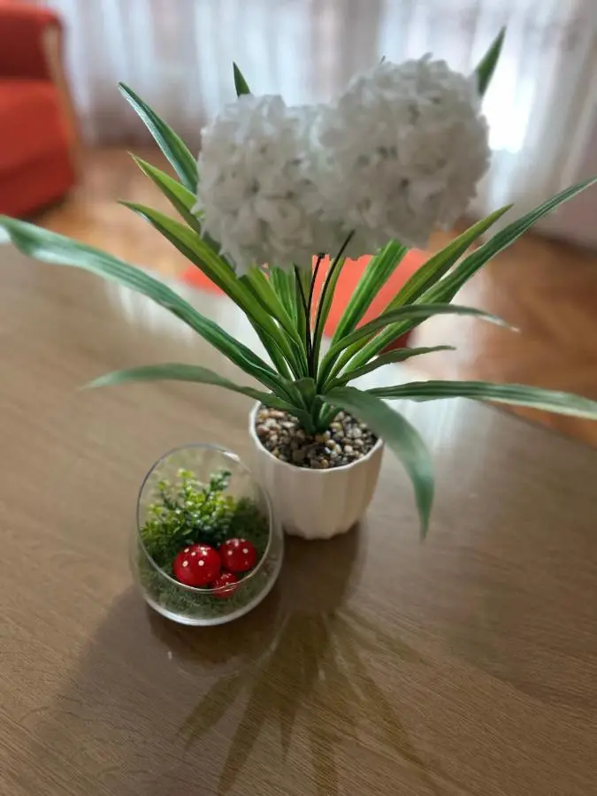 Duplex Apartment - in City Center