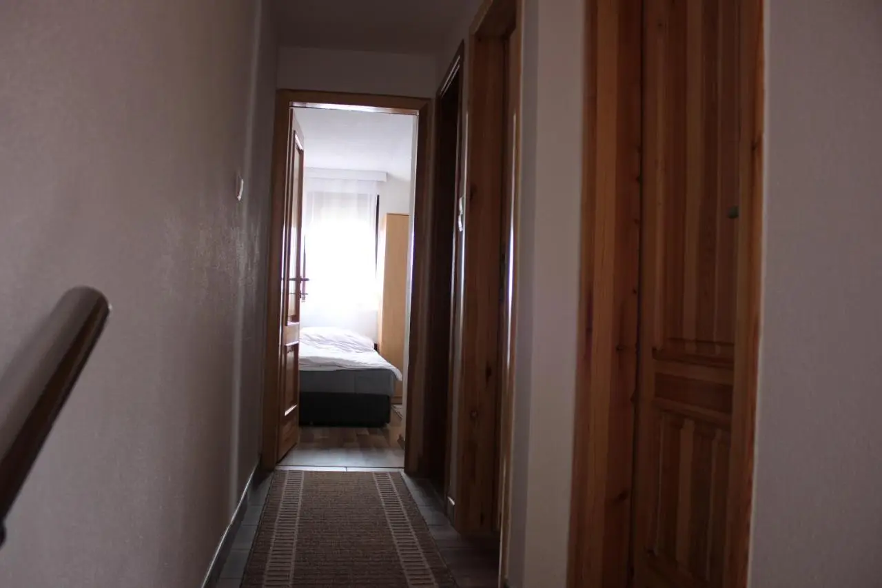 Apartments Zoni