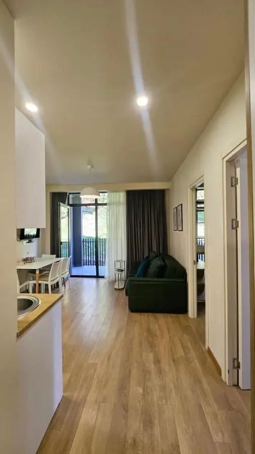 Arkhi Kokhta Bakuriani Apt 304