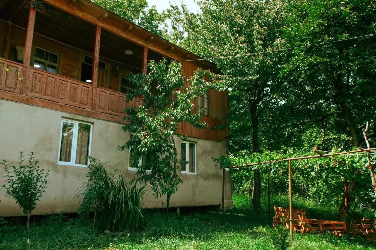 tsereteli's house