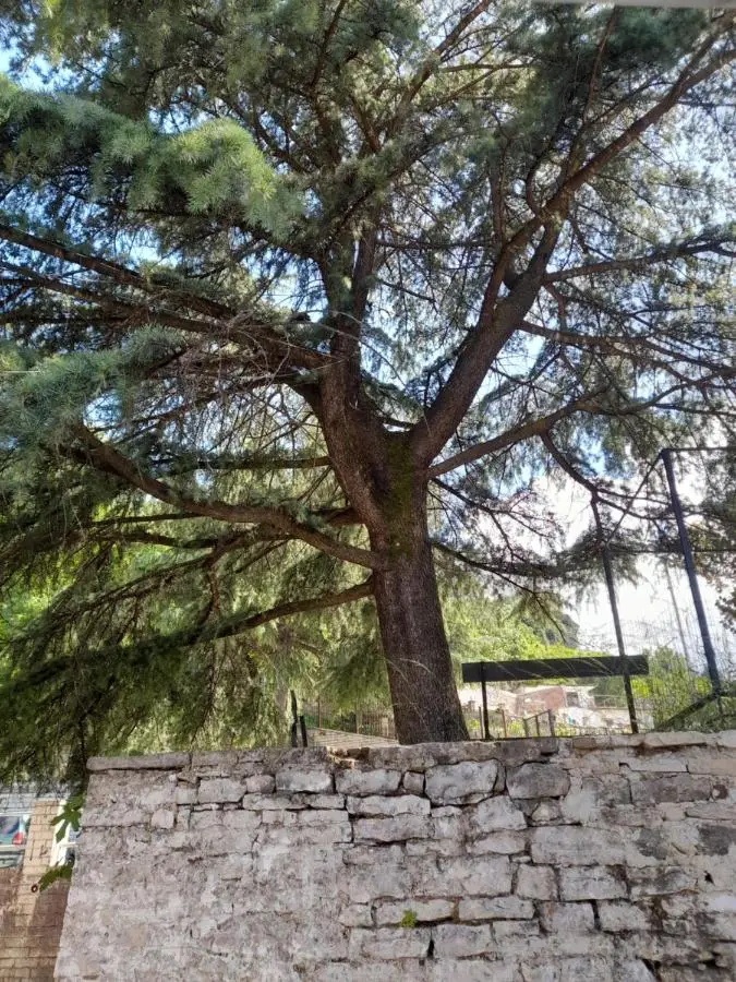 Guest House Ani-Rooms&Food in Old Bazaar,Gjirokaster