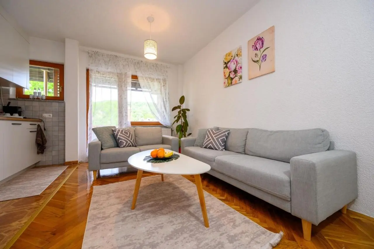 Apartman HAAN