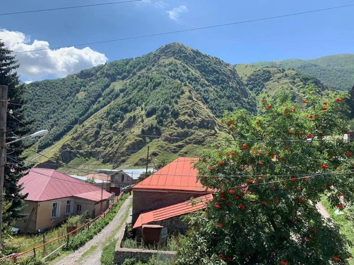 Tamila Guest House