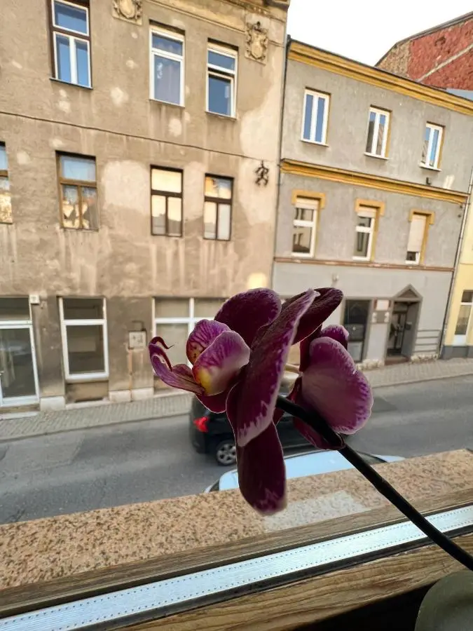 Apartment Centar