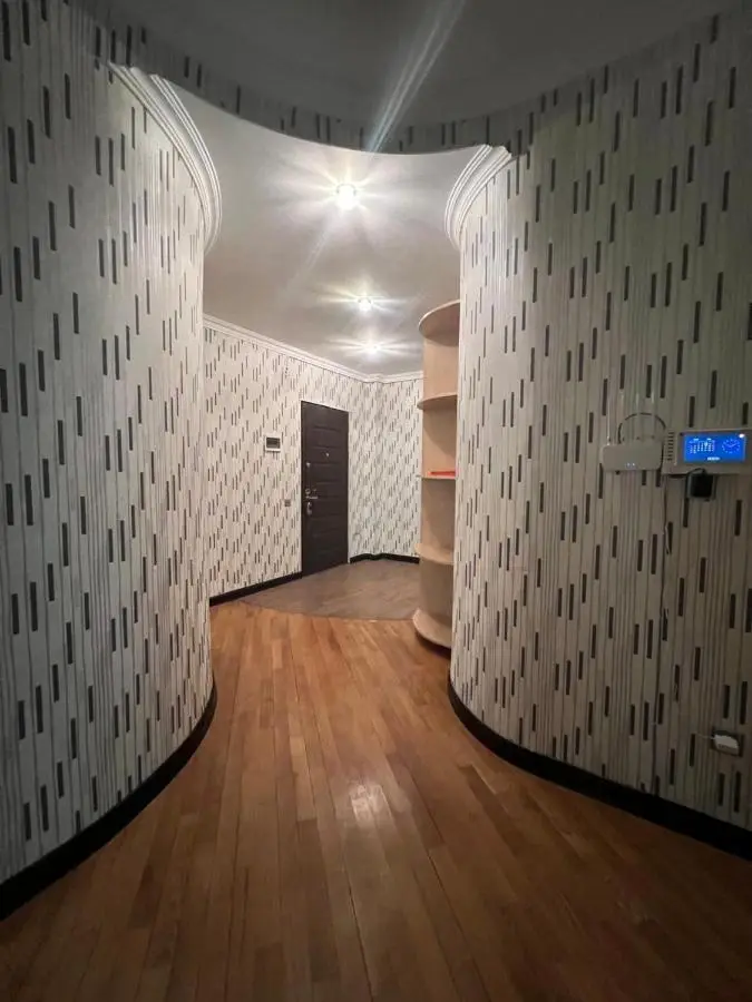 Deluxe apartment in Baku