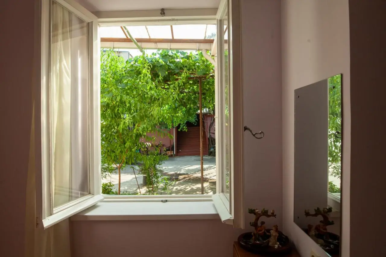 Green Corner