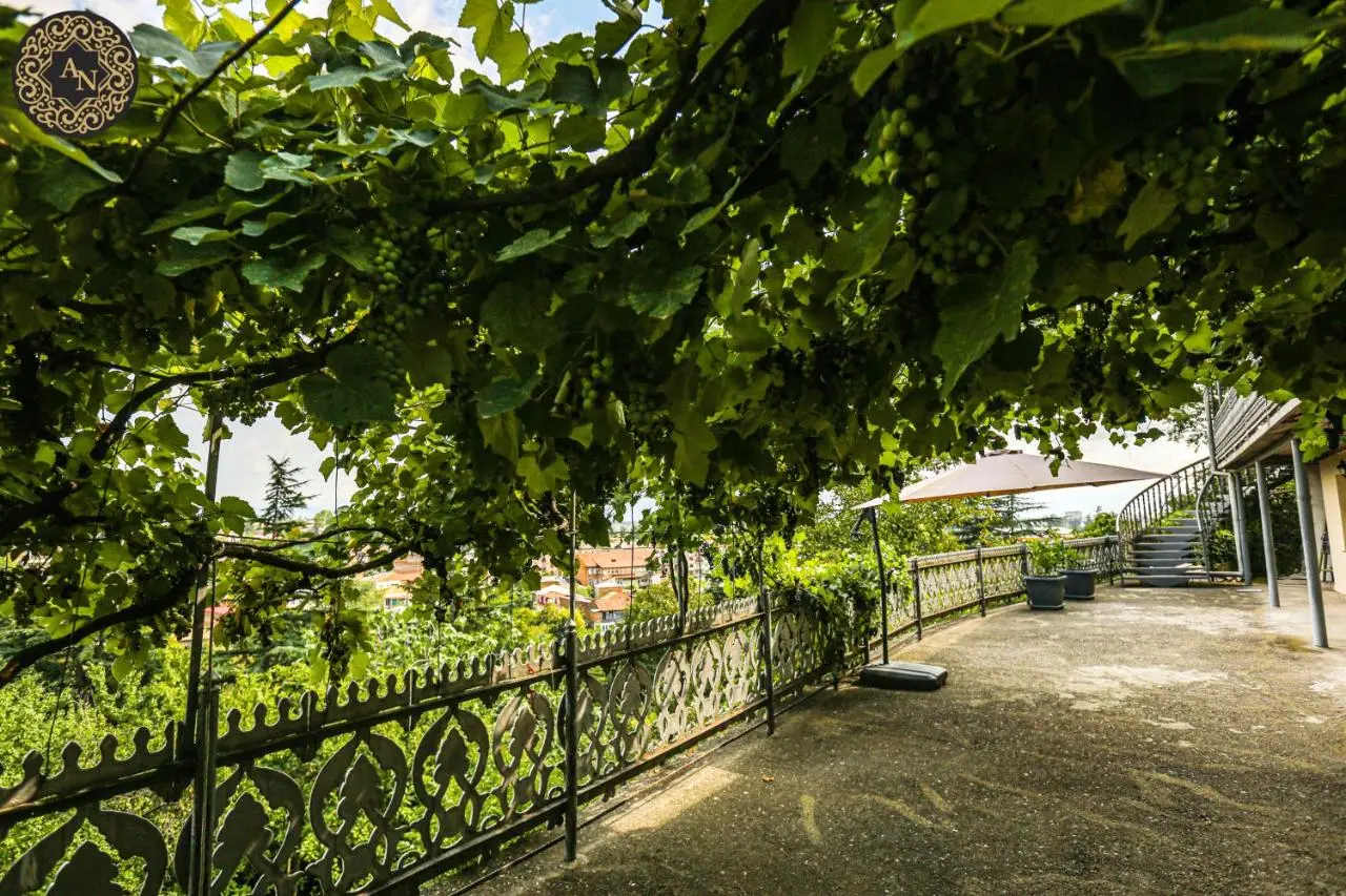 Guest House Anina