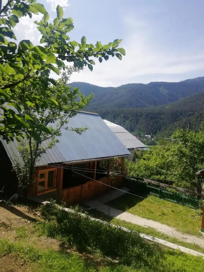Guest House Ilia