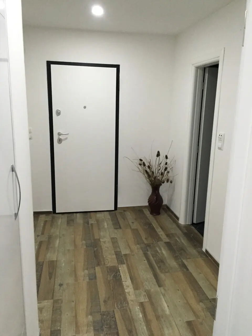 Apartman Ozzy