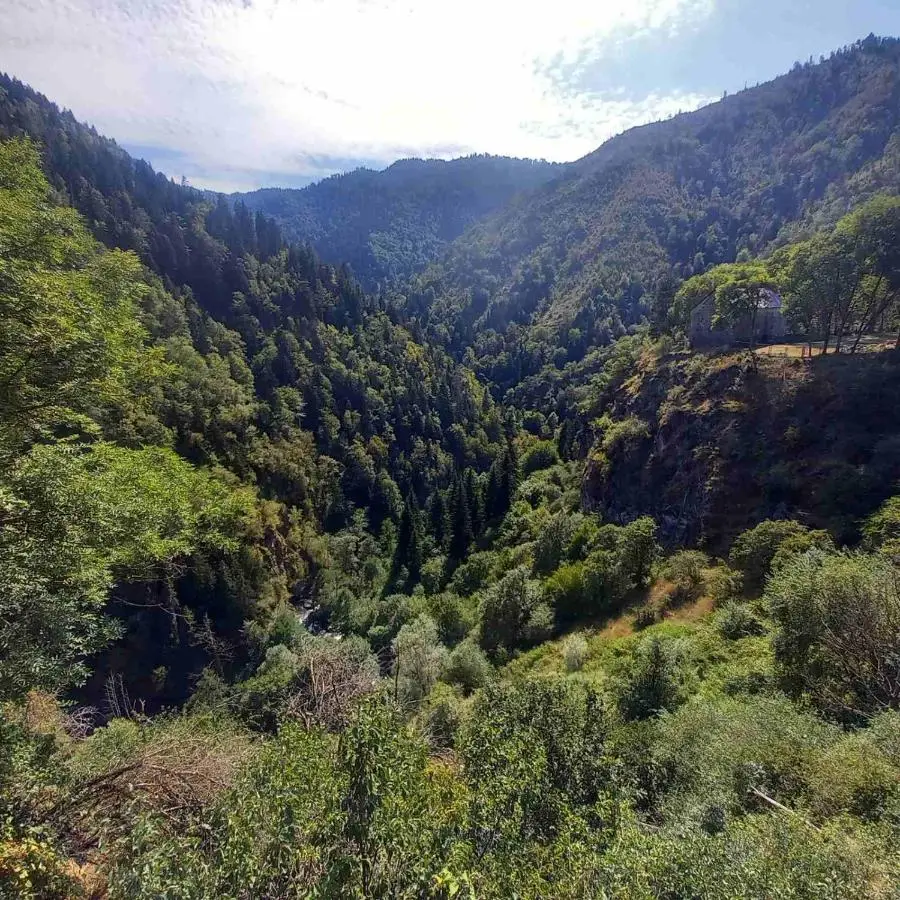 Hotel Villa Borjomi