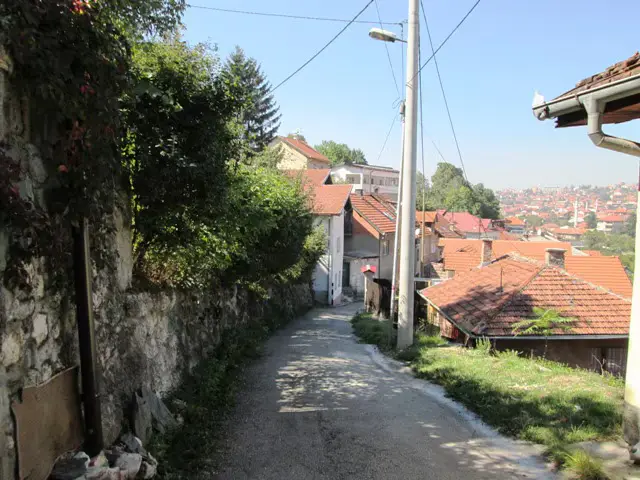 The Nest