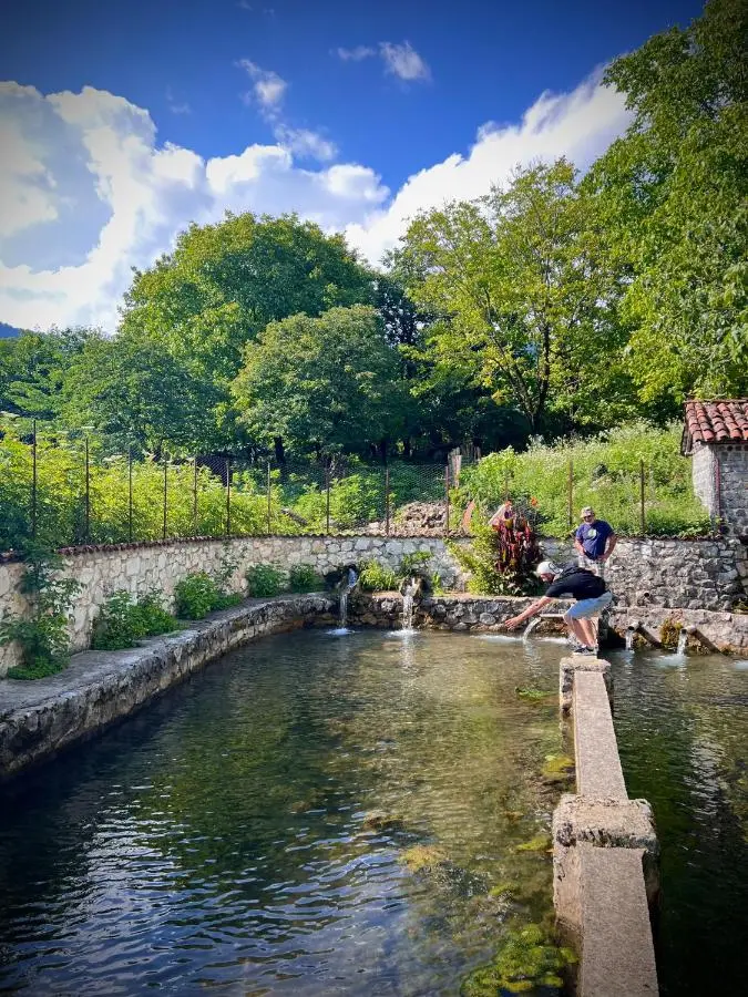 Cottage ,,Okatsia” ოკაციას კოტეჯები