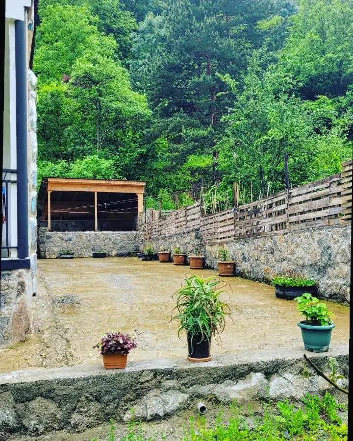 Family hotel mountain panorama