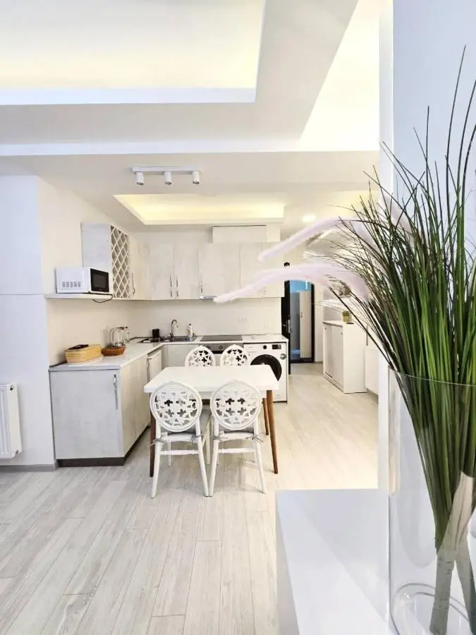 2-bedroom the entire apartment Very central Location 3 minutes walk to central square, Kolkha Fountain
