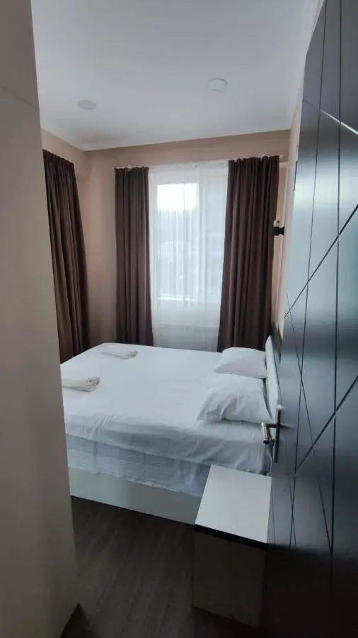 Cozy apartment in Borjomi with beautiful view