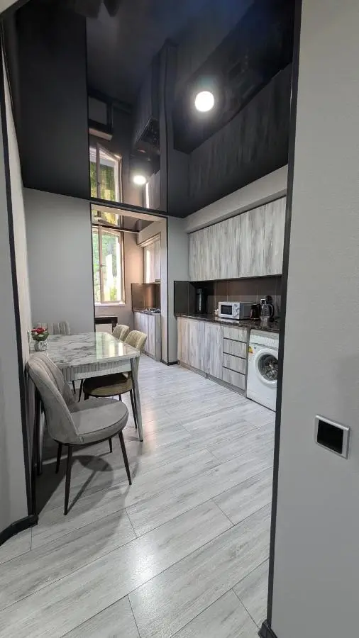Gari's apartment next to Borjomi Central Park