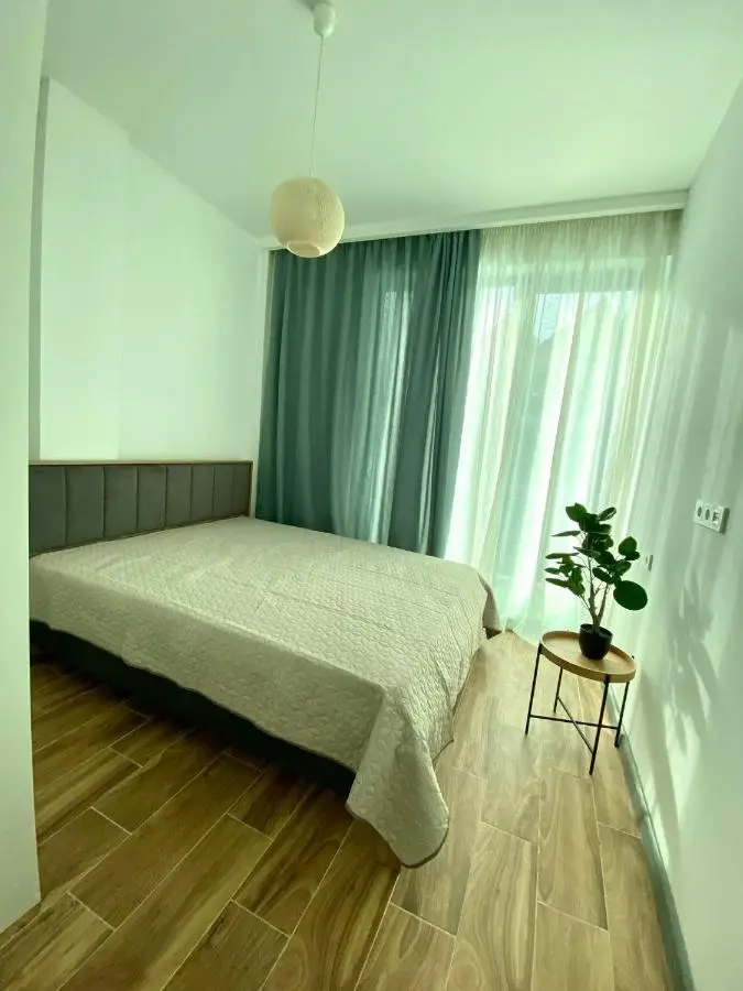 Snow Forest Bakuriani Apartment 10