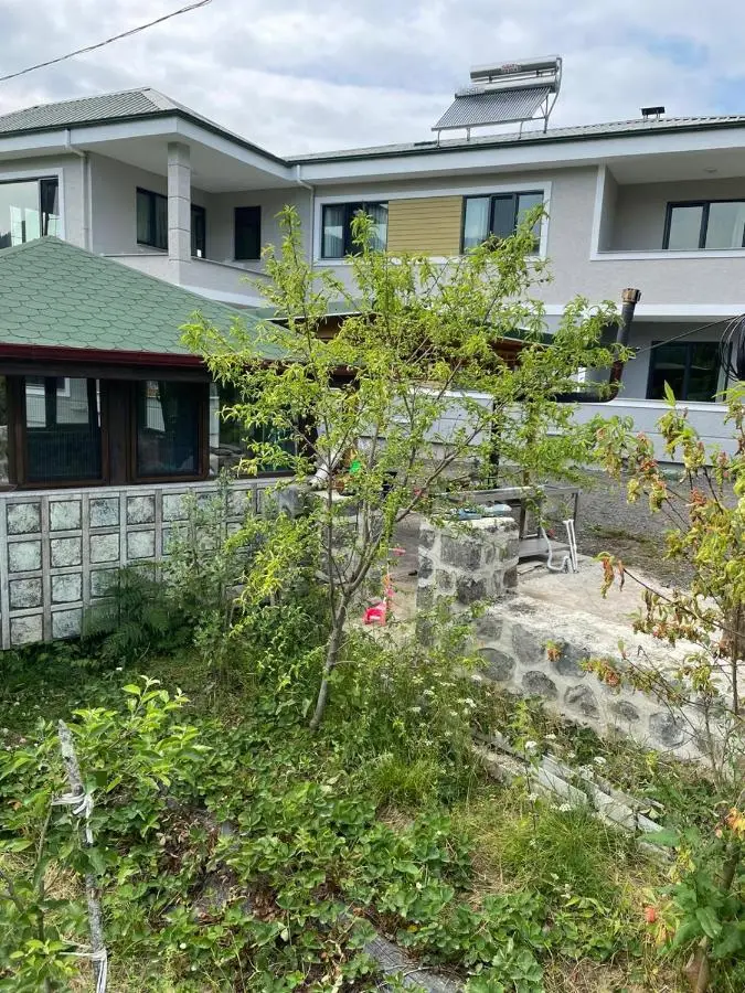 Luxury Nature Life Villa