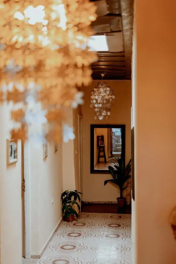 Berat Backpackers Hostel