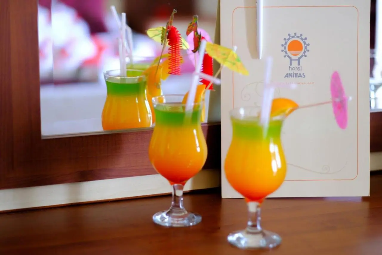 Anitas Hotel