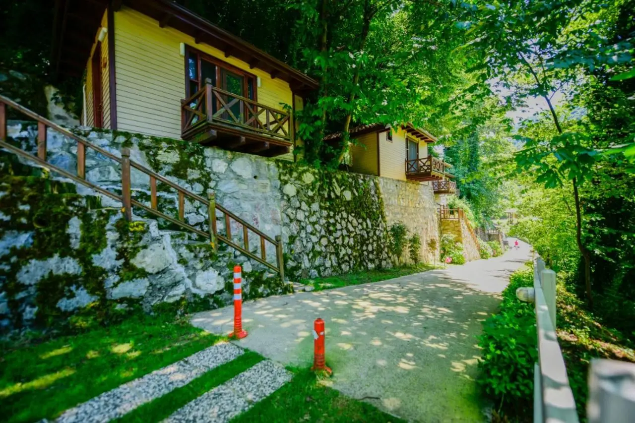 Naturkoy Sapanca