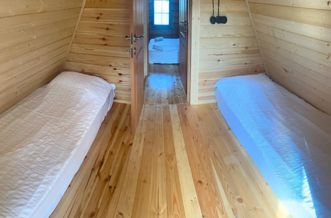 VIP-comfort BORJOMI