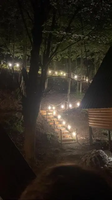 Forest Escape