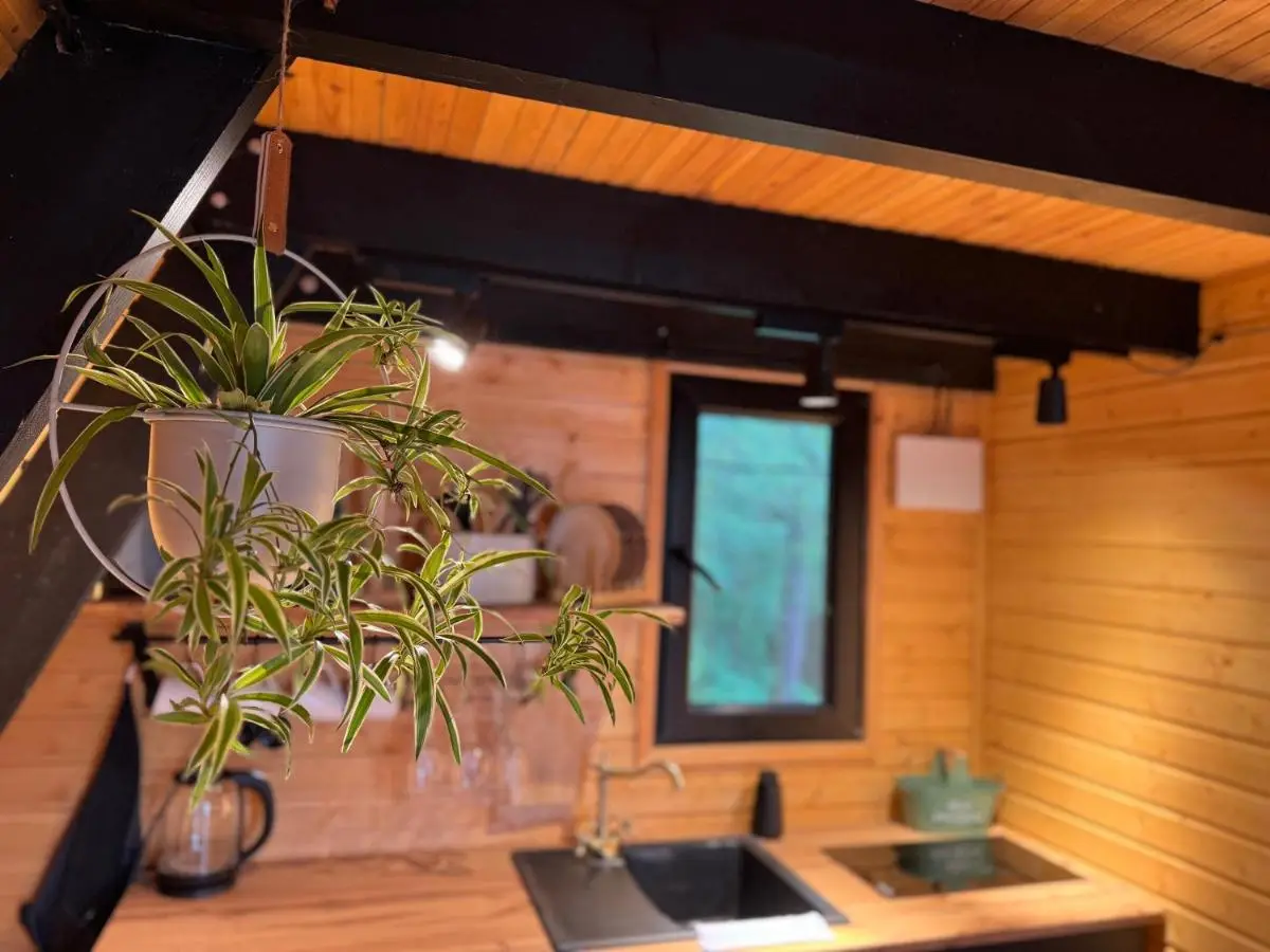 Vintage Cabin