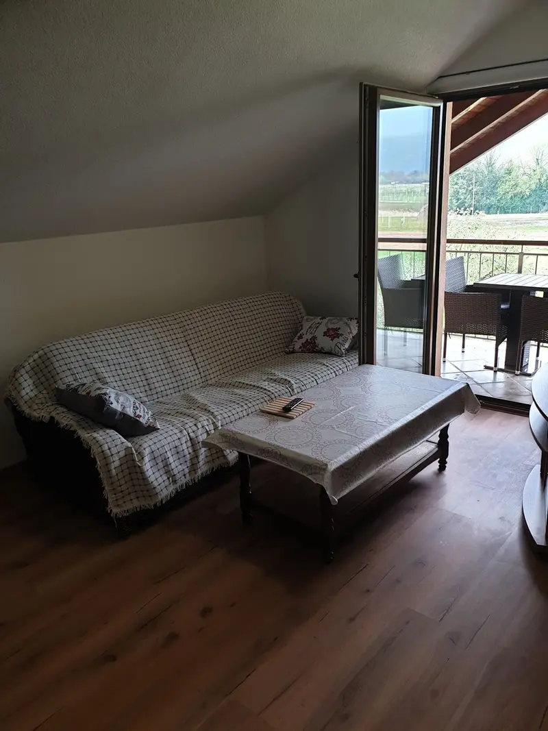 Karabegovic Appartment 2