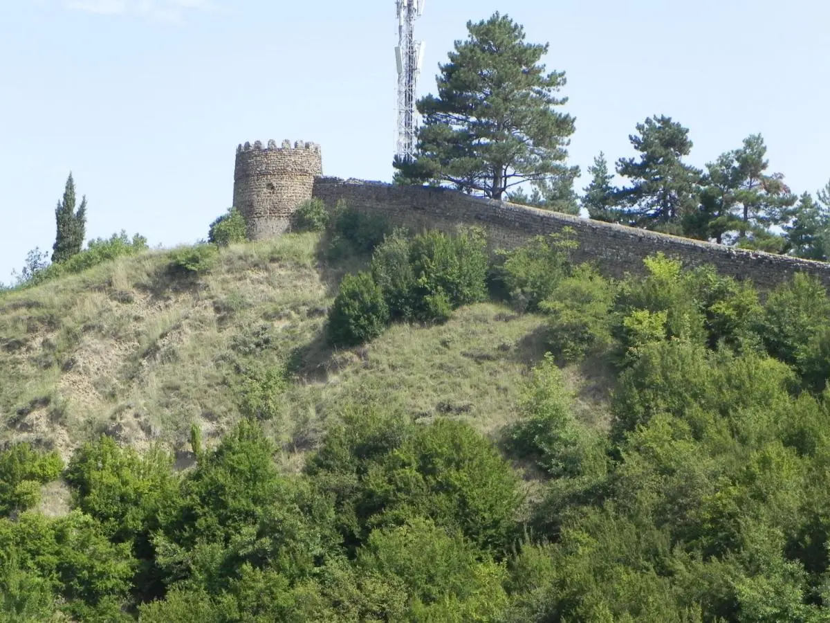 Sighnaghi Hotel Fence Door&Сигнахи Отель Ворота Крепости&სიღნაღი სასტუმრო გალავნის კარი