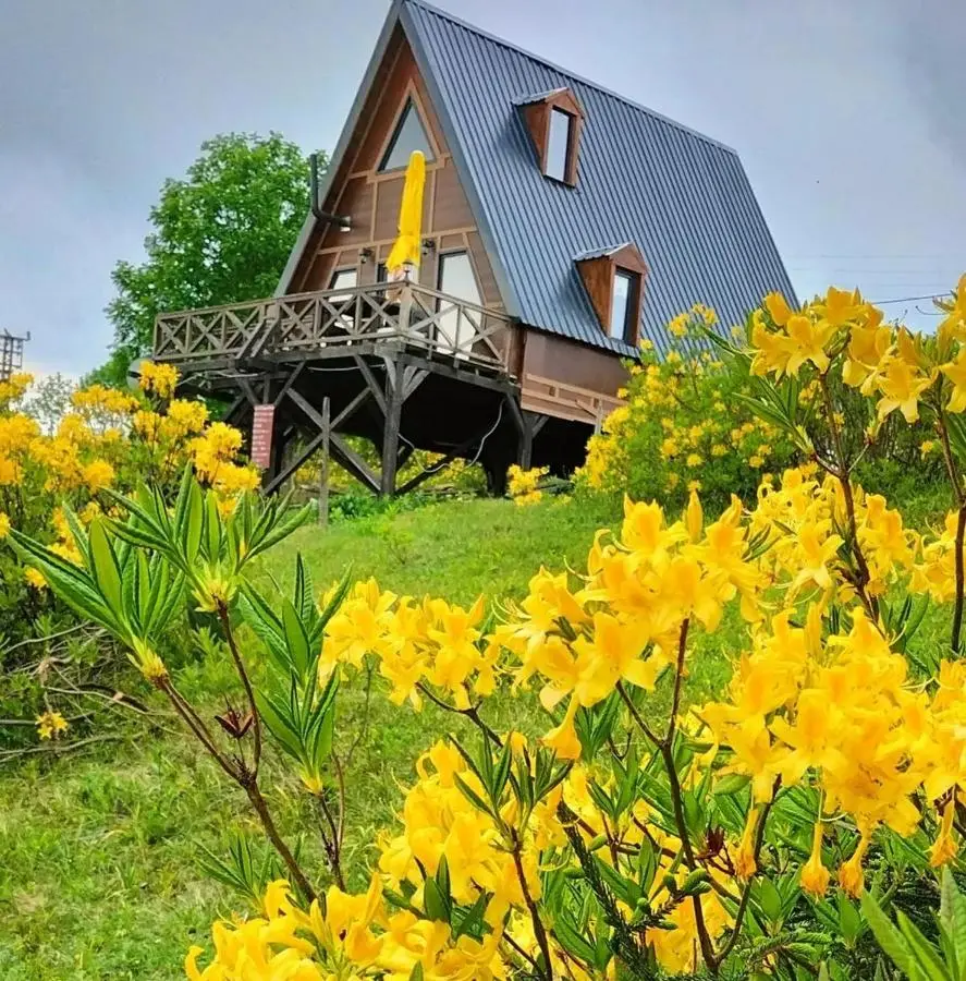 Zifinbungalov
