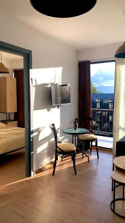 Bakuriani art apart hotel 203