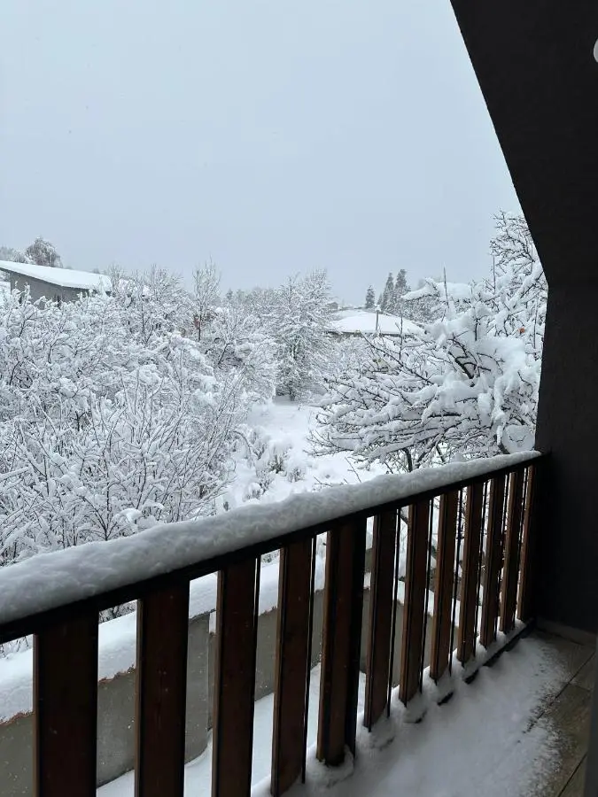 Mount Cottages Bakuriani