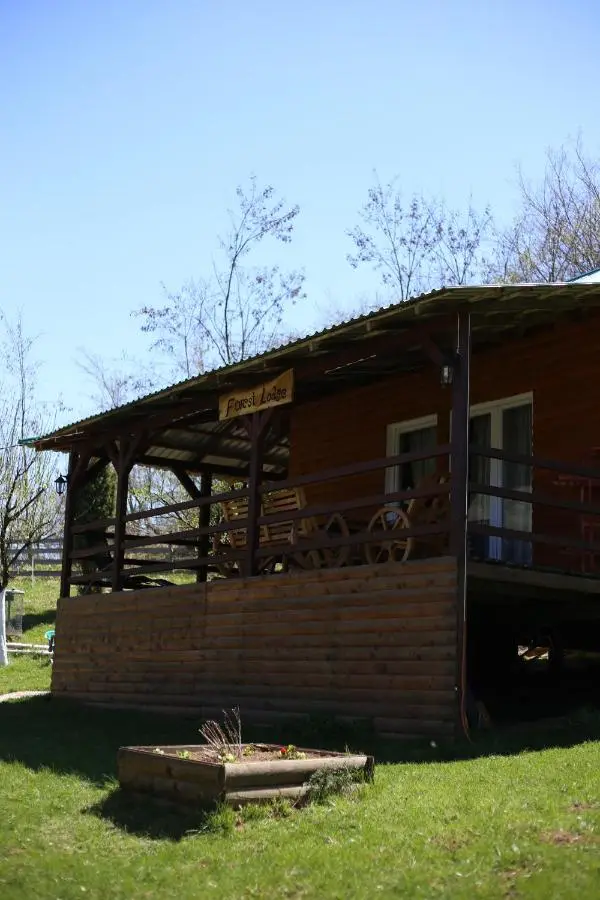 Forest Lodge on the Pyramid