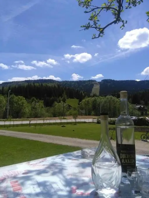 Koliba Ravna planina
