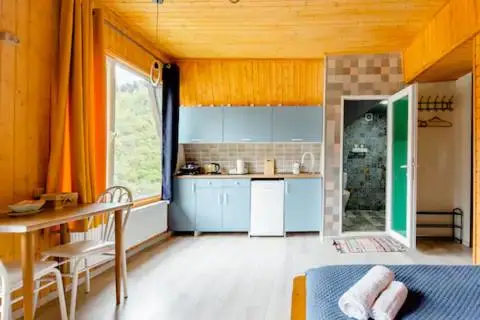 Borjomi Nest