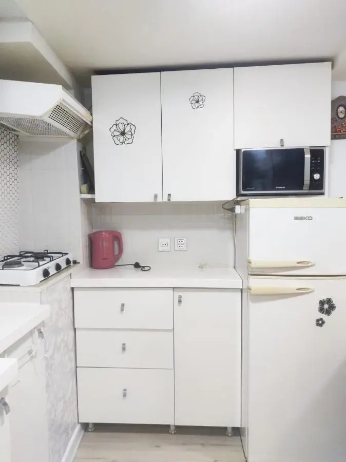 Comfortable apartment Nizami Street