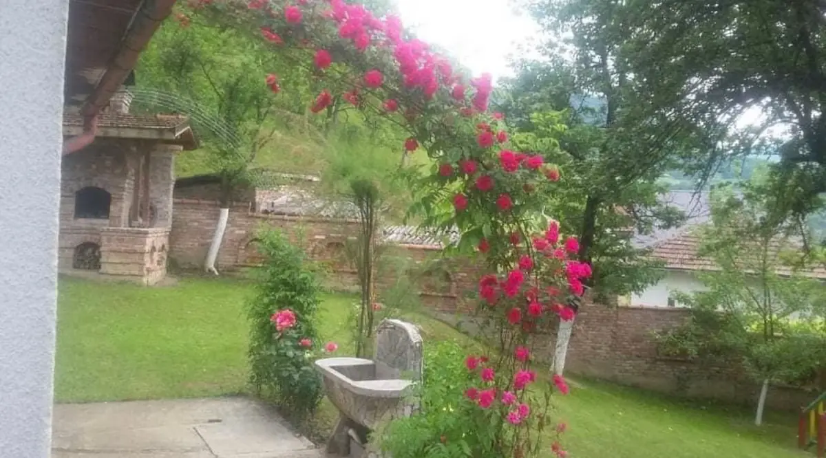 1-min to Bus /  House with Big Garden and BBQ