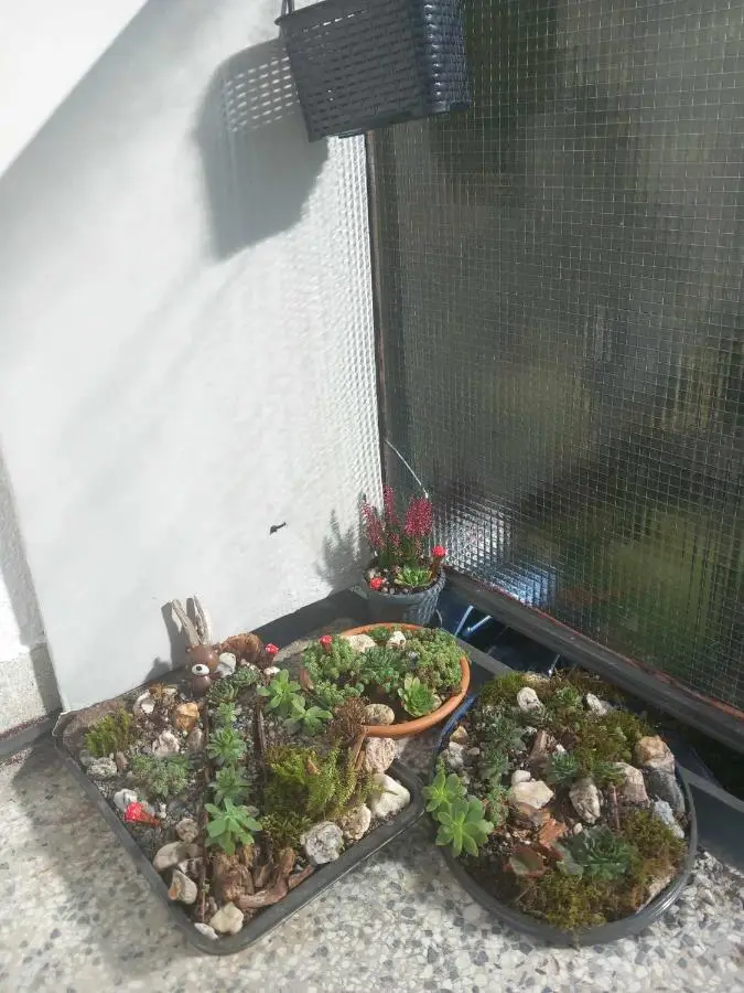 Apartman DEA