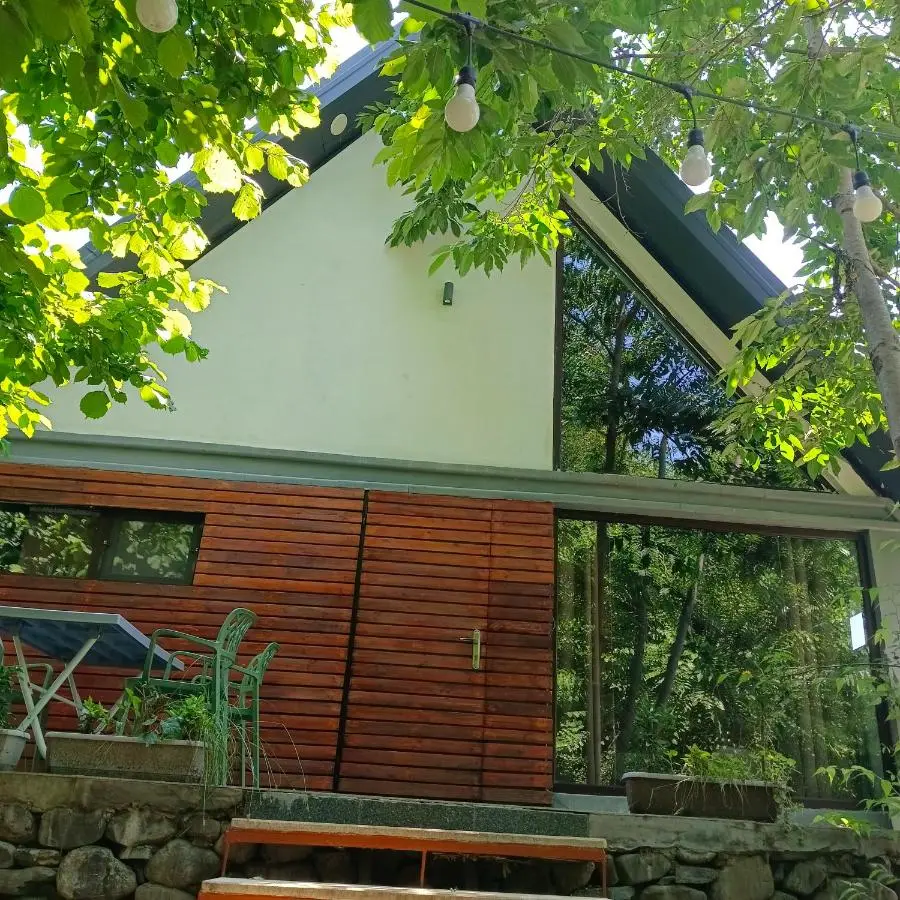 Woodland Paradise