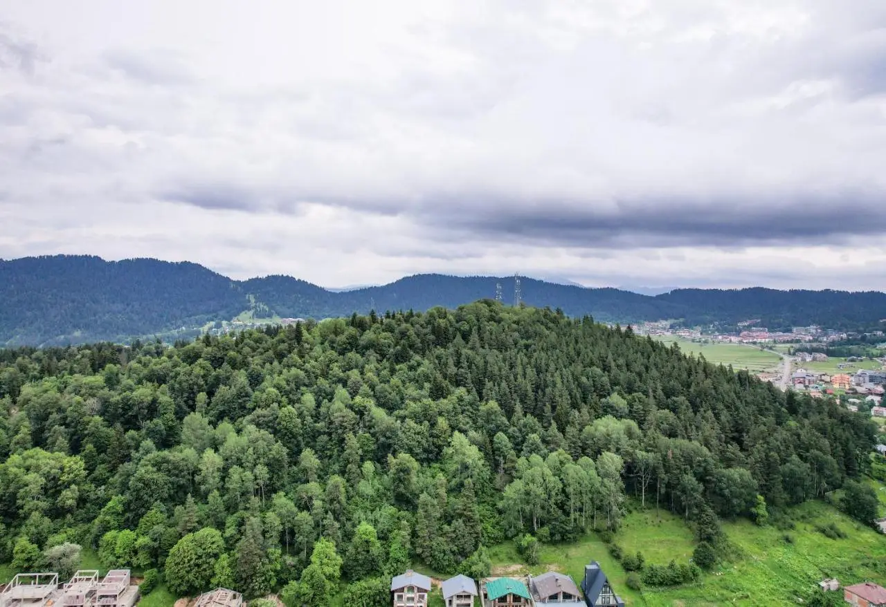 The Grand Hotel Bakuriani