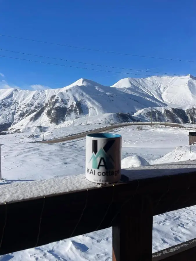 Chalet Gudauri