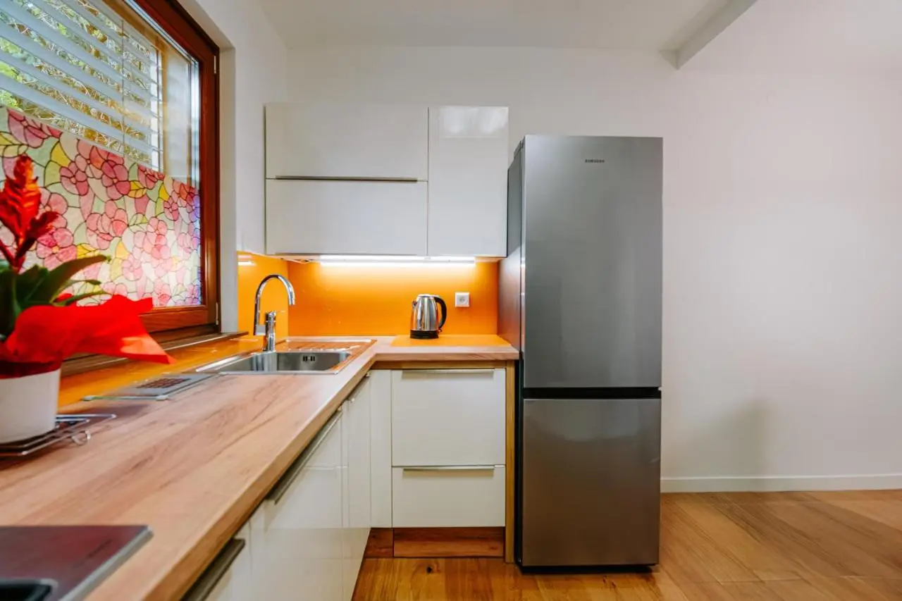 Apartment Jutro with free private parking-garage