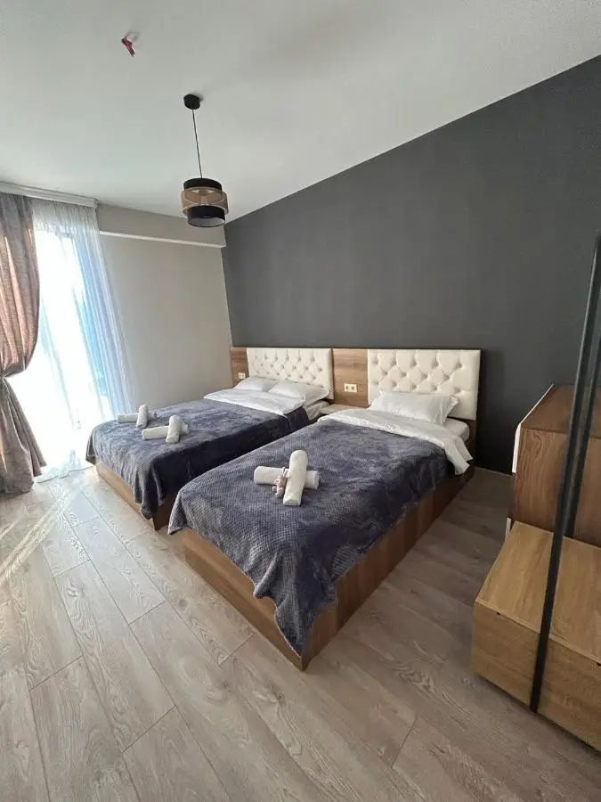 Bakuriani Hotel Apartments 301