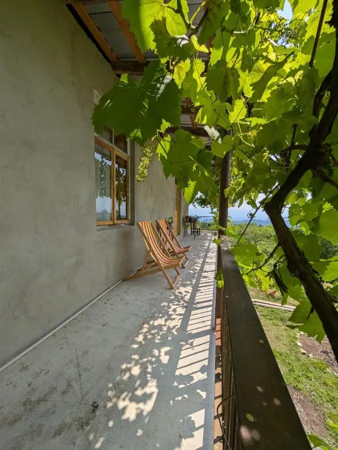 Guest House Roba