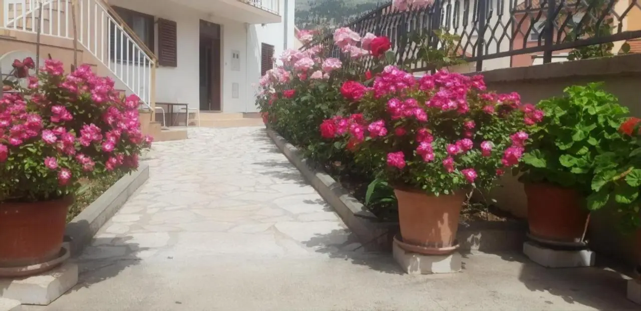 Cheap house near the center of the city