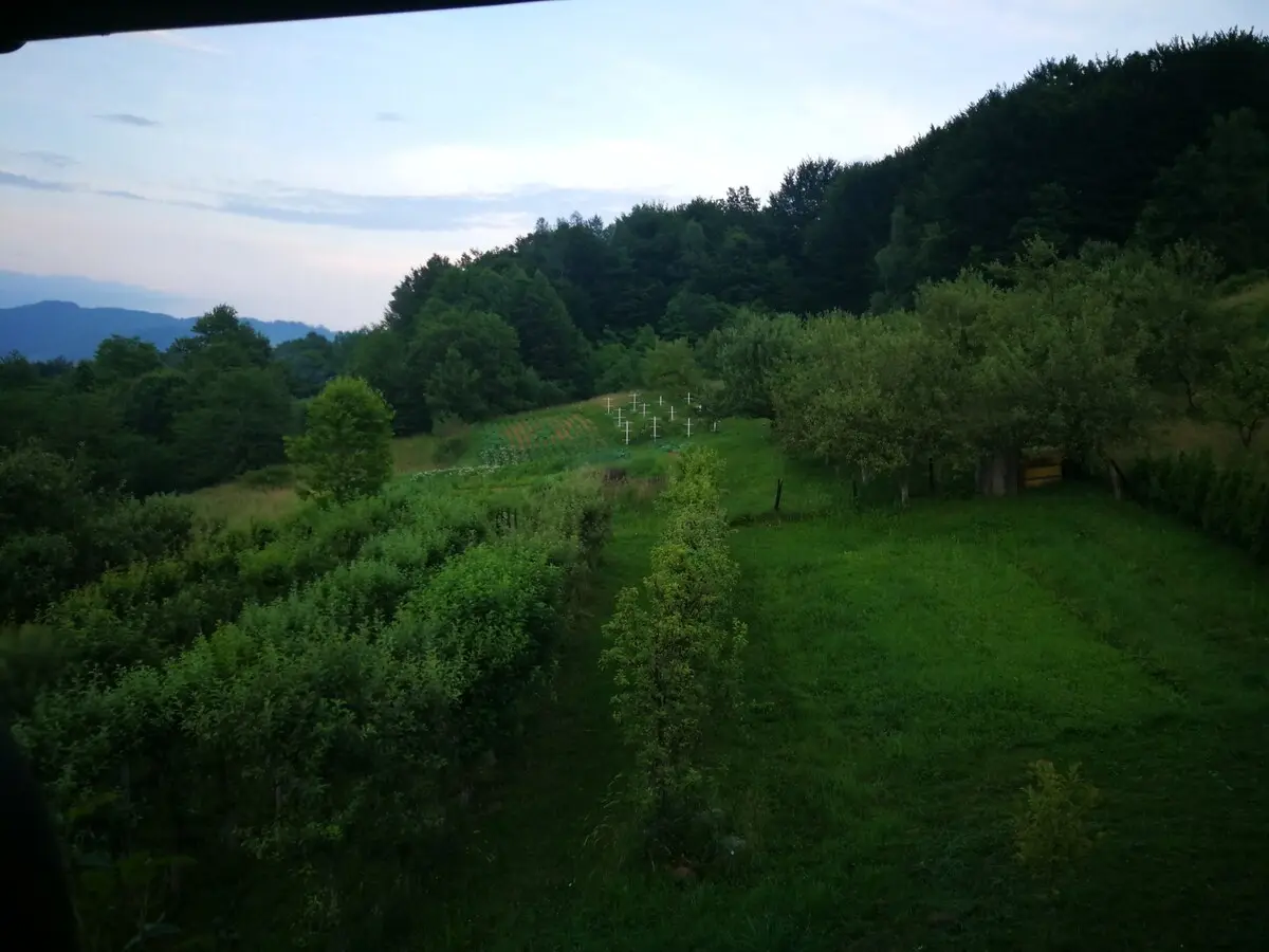 Green Idylle-PYramide View