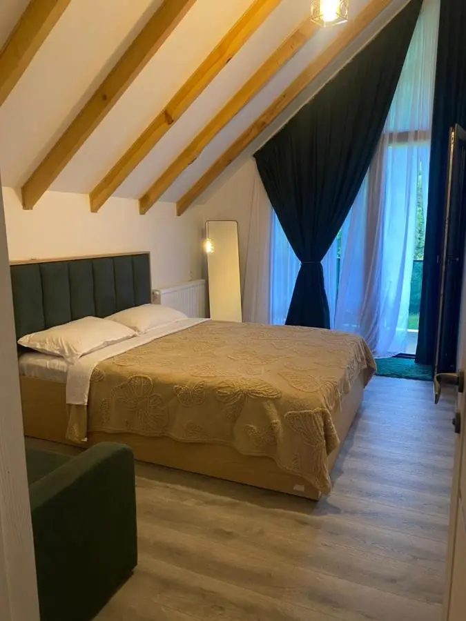 MTA house - Borjomi