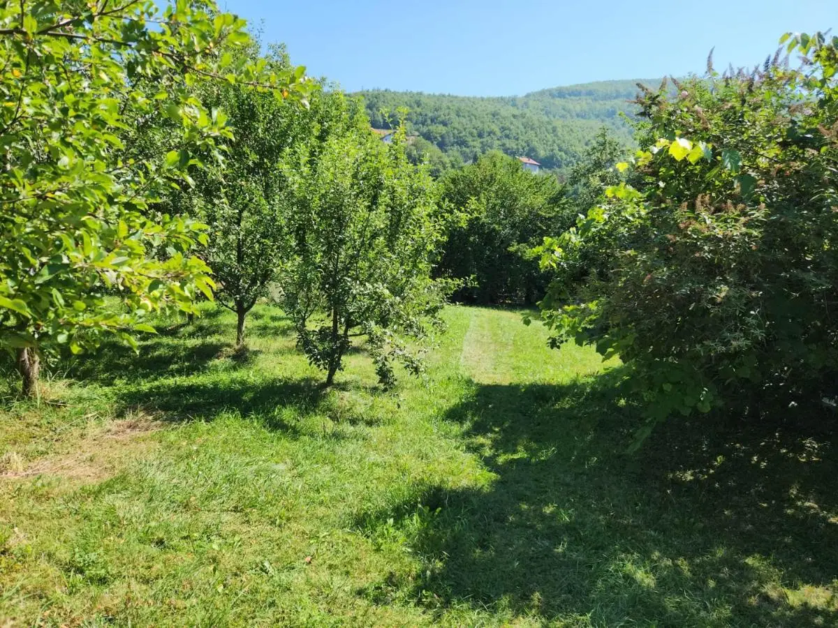 Grand AC Residence with Garden & Parking