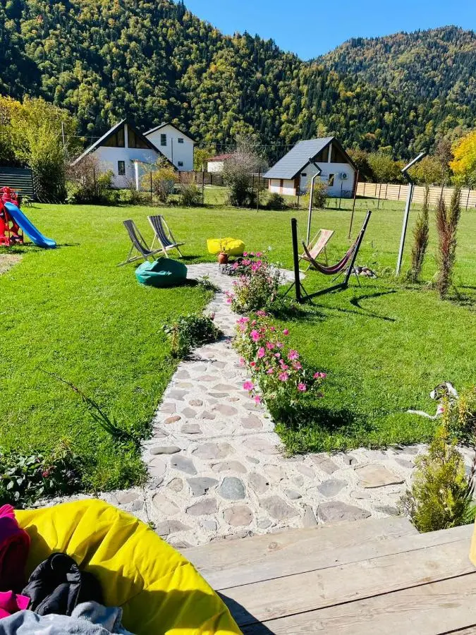 Borjomi Story